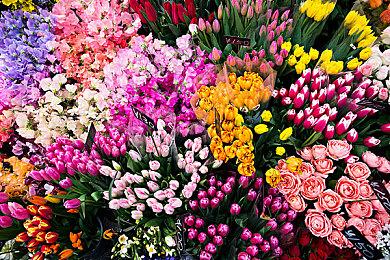 《辐射76》高清材质MOD发布 36GB全面大修材质